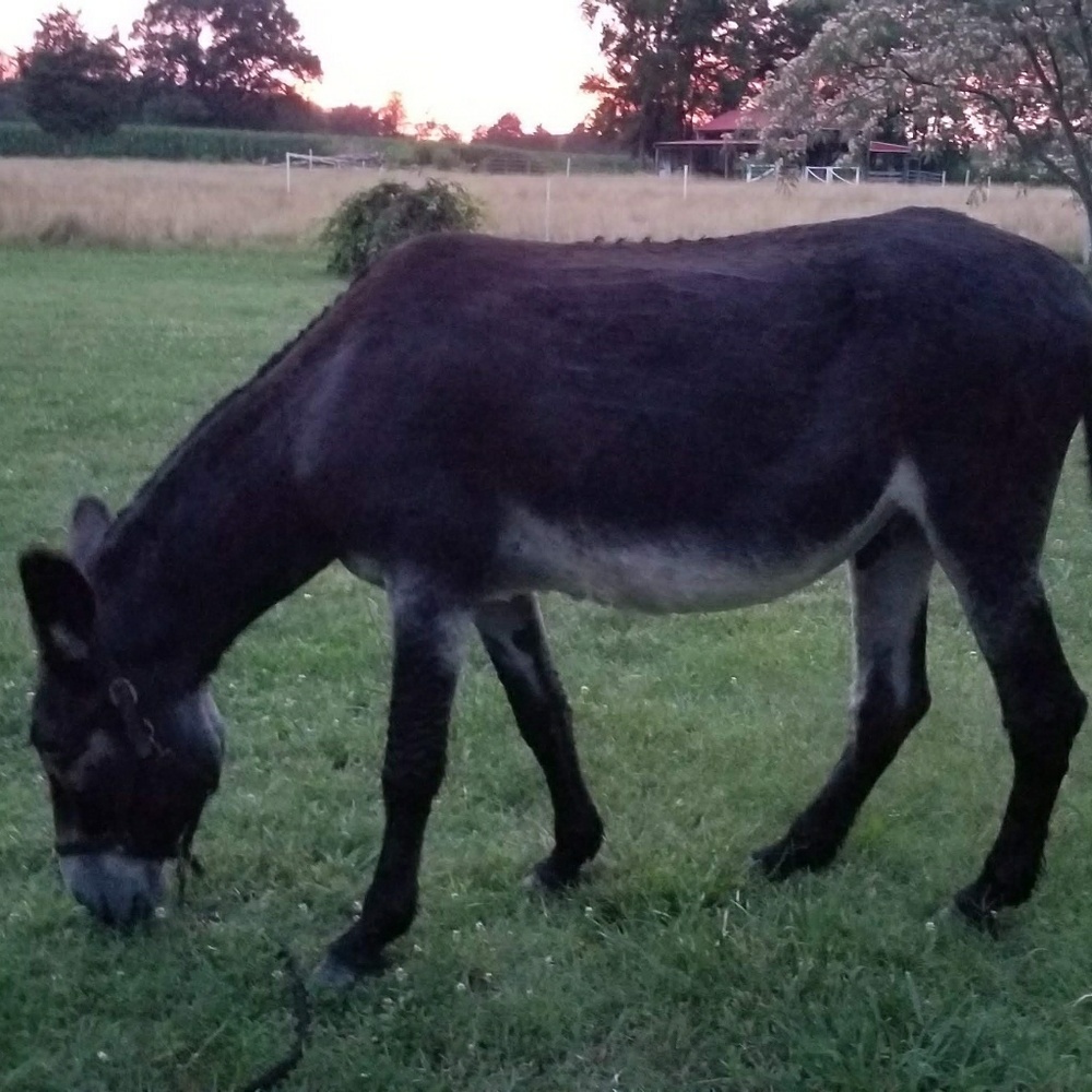Meet your Posher, Sandra